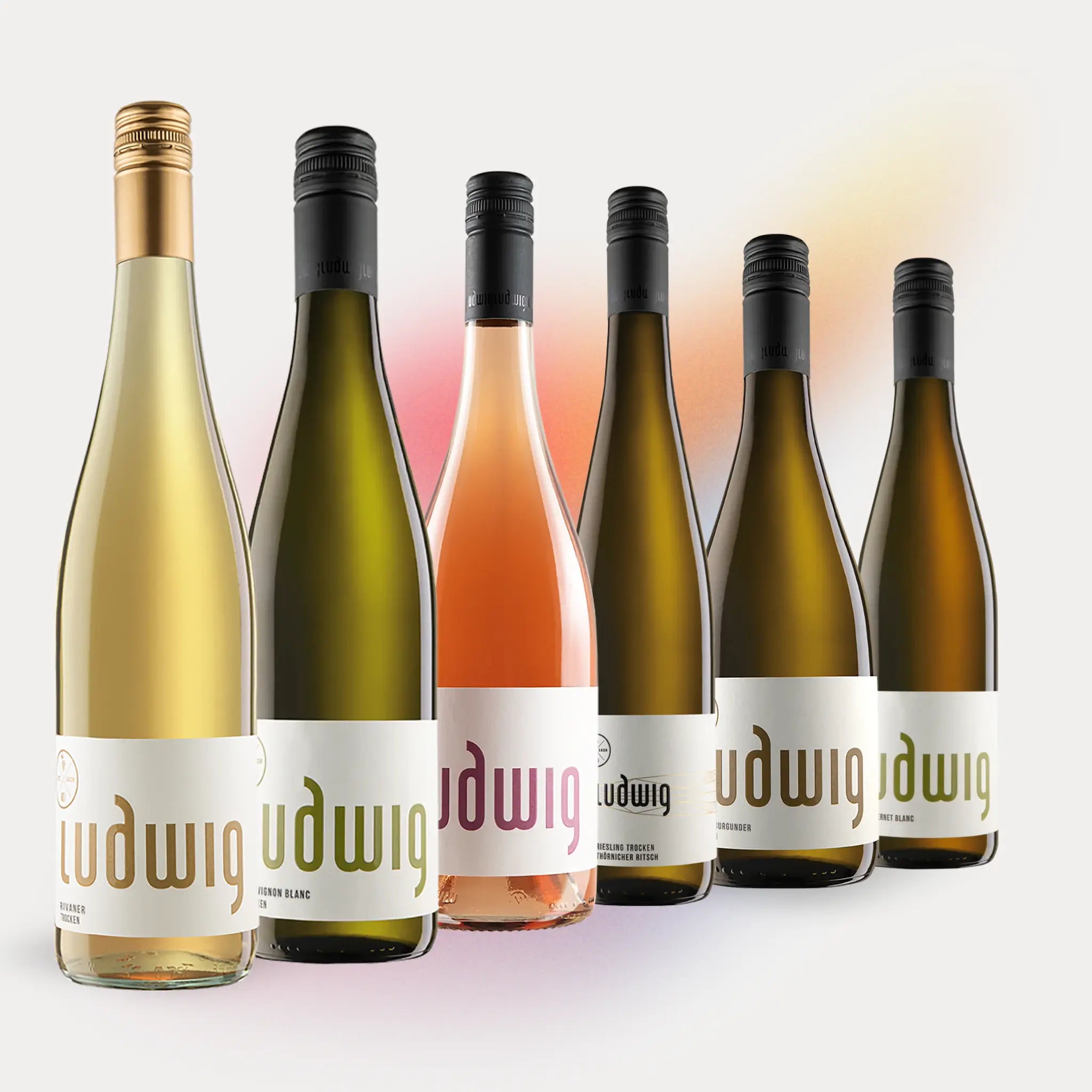 2025er Frühlingspaket - Here comes the sun!