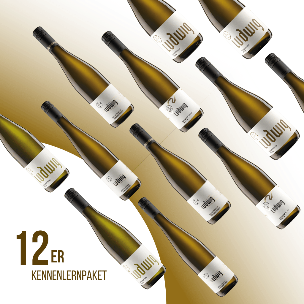 Kennenlernpaket - Willkommen im Weingut Ludwig!
