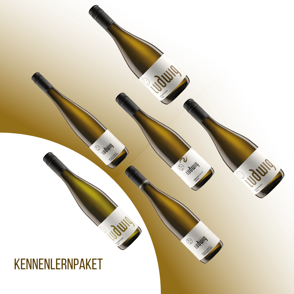 Kennenlernpaket - Willkommen im Weingut Ludwig!